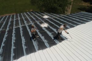 two employees painting and treating a commercial roof