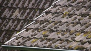 moss and debris covering tiled roof