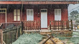 red paneled home with dog on porch in pouring rain